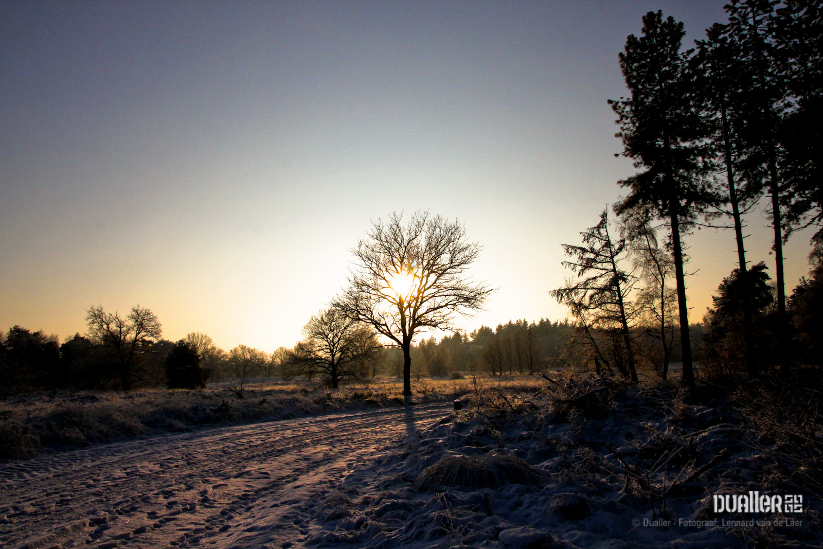 20100103_WINTER_1064.jpg